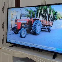 49 اینچ نو کره ای الج ی|تلویزیون و پروژکتور|لردگان, |دیوار