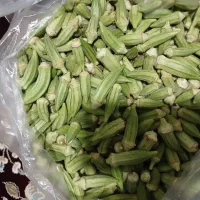 بامیه درجه یک