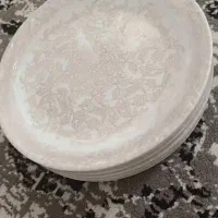 دو دست سرویس آرکوپال پلمپ|ظروف سرو و پذیرایی|بجستان, |دیوار