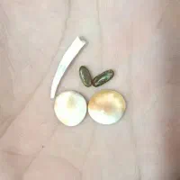 مهره برد