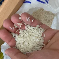 برنج هاشمی درجه یک