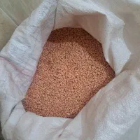 بذر گندم دیمی بوجاری شده|خدمات باغبانی و درختکاری|میاندوآب, |دیوار