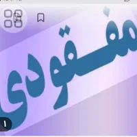 گمشدهکارتبانکیرحیمفردچنانیمجتبیفردچنانی