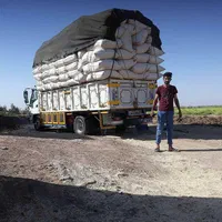 سامان آلانام(خرید و فروش کاه گندم)سامانچی اوغلان|عمده‌فروشی|قیدار, |دیوار