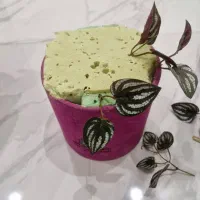 باکس های گل|گل مصنوعی|کرج, شهرک فهمیده|دیوار