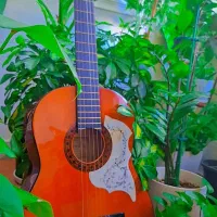 گیتار والنسیا CG160