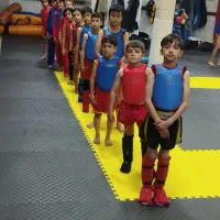 آموزش ووشو ، ساندا