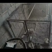 قفس بزرگ|لوازم جانبی حیوانات|میناب, |دیوار