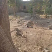 زمین