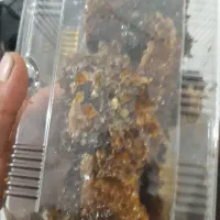عسل طبیعی