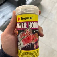 غذای فلاور اورجینال