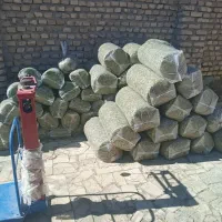 ذرت علوفه ای|حیوانات مزرعه|سیرجان, |دیوار