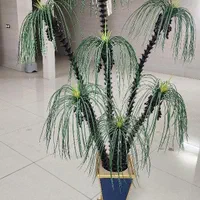 نخل تزئینی