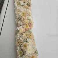 گل ماشین عروس|گل و گیاه طبیعی|اصفهان, پوریای ولی|دیوار