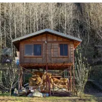 نمیگم از من بخر ولی حتما بخر