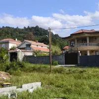 زمین باغی مناسب سرمایه گذاری