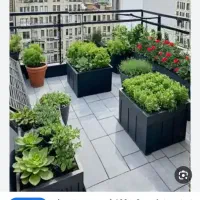 اجاره روف گاردن جهت کافه رستوران|اجارهٔ مغازه و غرفه|قم, پردیسان|دیوار