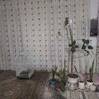 پرده حریر  ۱۸متر ی