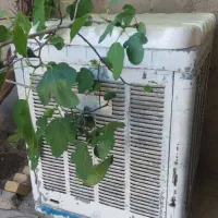 کولر آبی ۵۰۰۰