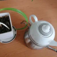 کتری و قوری