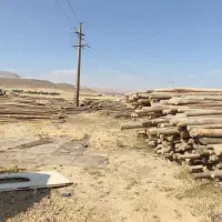 چوب فروشی و مرکز جمع آوری انواع چوب|عمده‌فروشی|سنقر, |دیوار