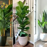 خدمات باغبانی طراحی فضای سبز فروش گل باغچه کاری