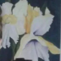 تابلو نقاشی