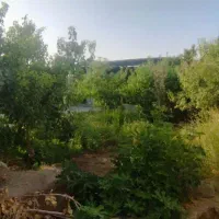 300-متر-باغچه-70-متر-بنا-نیمه-کاره