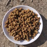توت خشک