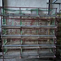 قفس بلدرچین قرقاول..