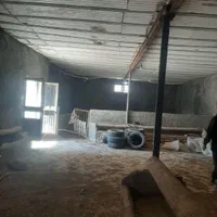 دامداری با پروانه سند تک برگ|فروش دفتر صنعتی، کشاورزی، تجاری|فرمهین, |دیوار