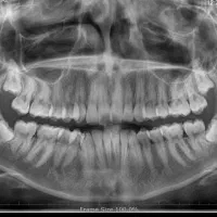 دستیار حرفه ای با سابقه