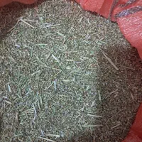 با‌سلام،‌مقدار‌۱۳۰‌کیلو‌بذر‌مرغوب‌گشنیز‌موجود‌است.