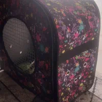 خرگوش همراه با ساک حمل|موش و خرگوش|شیراز, پانصد دستگاه ارتش|دیوار