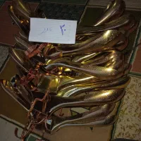 رگال ومانکن لباس