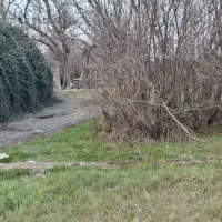 زمین باغی پشت رستوران اکبرجوجه کردکوی