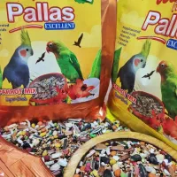 دان پرنده عروس هلندی و گرینچیک و کوتوله برزیلی و.