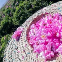 گلاب و عرقیات گیاهی و معجون اصل و خیلی مناسب