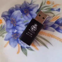 رم فلش ۶۴ گیگ کویین تک