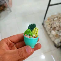 گل کاکتوس دکوراتیو سنگی فانتزی