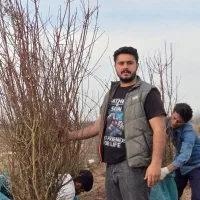 نهال بادام سوددهی بالا چون تقاضا همیشه زیاده