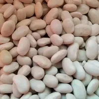 لوبیـا سفید باکیفیت