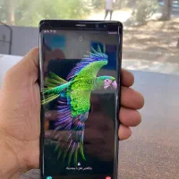 سامسونگ نوت هشتNote8با جعبه و انتقال به همراه قلم|موبایل|تهران, نیروی هوایی (پیروزی)|دیوار