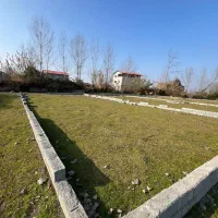 دنج ترین ملک جنگلی ۱۰در۲۰