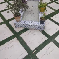 نیروی خدماتی خانم