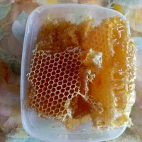 عسل طبیعی