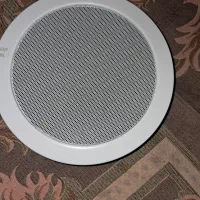 بلندگوی سقفی