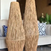 آباژوررافیا  کنارسالنی بوهو