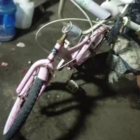 دوچرخه|دوچرخه، اسکیت، اسکوتر|رشت, حومه رشت|دیوار