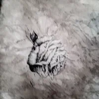 چادر رنگی|لباس|مشهد, اقبال|دیوار